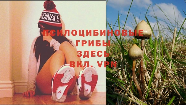 ECSTASY Заволжск