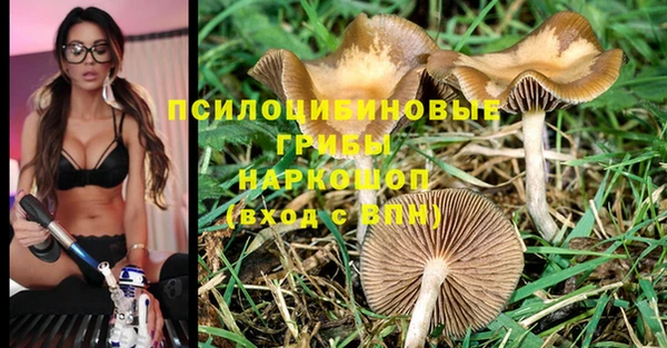 наркотики Заводоуковск